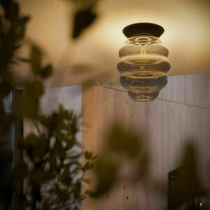 Plafond s.luce Echos glas transparent E27 25 cm oval modern small 1