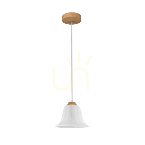 Kontrollera Anna taklampa, 1xE27, Max. 60 W, oljad ek / genomskinlig PVC-sladd / vit glasskärm, Ø 17,5 cm