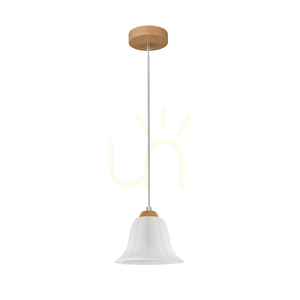 Anna taklampa, 1xE27, Max. 60 W, oljad ek / genomskinlig PVC-sladd / vit glasskärm, Ø 17,5 cm small 0