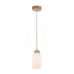 Bosco taklampa, 1xE27, Max. 60 W, björk/genomskinlig PVC-sladd/vit glasskärm, Ø 10 cm small 1