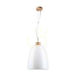 Campana taklampa, 1xE27, Max. 60 W, oljad ek / genomskinlig PVC-sladd / vit glasskärm, Ø 30 cm small 0