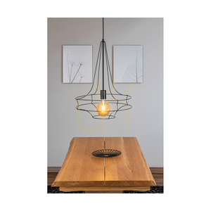 Casa Rina taklampa, 1xE27, Max. 60 W, svart metall/svart PVC-kabel, Ø 48 cm small 2