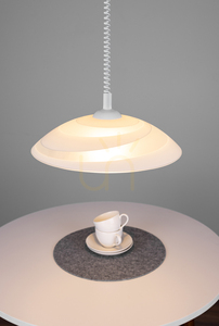Circle taklampa, 1xE27, Max. 60 W, vit plast / vit PVC-sladd / vit glasskärm, Ø 40 cm small 6