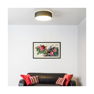 Spot Light Josefina 4782802 LED-plafond, antracit/vit, Ø28 cm, 13 W, 2700 K small 1