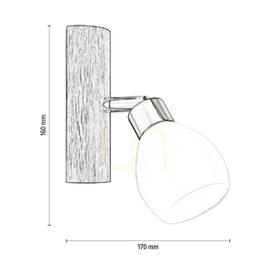Kira vägglampa, inklusive 1 G9-LED-lampa (max. 3 W), oljad ek/satinmetall/vit glasskärm, 17 cm small 3