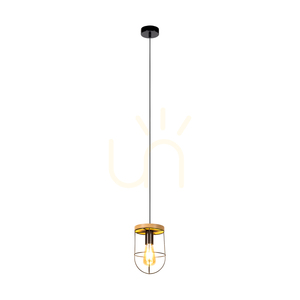 Netuno taklampa 1xE27 Max. 60 W, oljad ek/svart metall/svart PVC-sladd, Ø 15 cm small 1