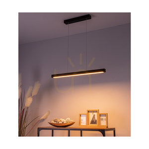 Smal 2xLED 3000K 22,5 W taklampa, bok- och valnötsträ / genomskinlig PVC-sladd med beröringsdimmer, 80 cm small 3
