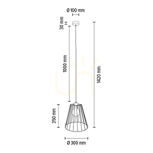 Swan taklampa, 1xE27, Max. 60 W, svart metall/svart PVC-sladd/svart metallskärm, Ø 30 cm small 2