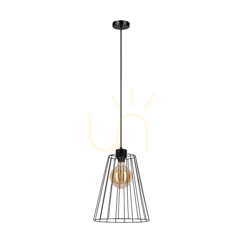 Kontrollera Swan taklampa, 1xE27, Max. 60 W, svart metall/svart PVC-sladd/svart metallskärm, Ø 30 cm