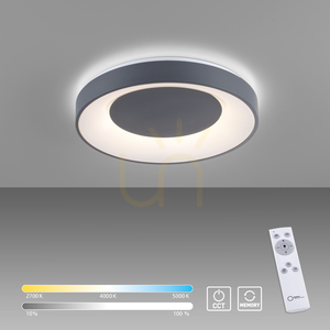 ANIKA 14326-18 Taklampa, grå, 1xLED small 10