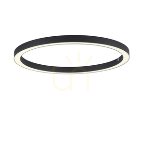 PURE-LINES 6306-13 Antracit 1xLED taklampa 7 PURE-LINES 6306-13 Antracit 1xLED taklampa small 7