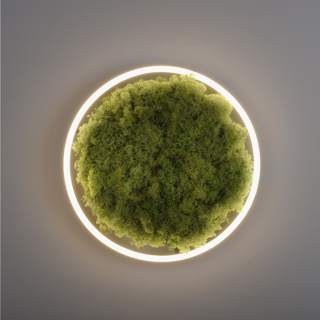 Kontrollera GREEN RITUS 15391-66 Taklampa, beige, 1xLED GREEN RITUS 15391-66 Taklampa, beige, 1xLED
