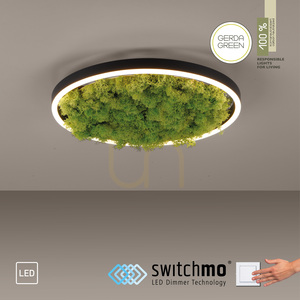 GREEN RITUS 15391-66 Taklampa, beige, 1xLED 11 GREEN RITUS 15391-66 Taklampa, beige, 1xLED small 11