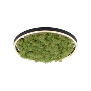 GREEN RITUS 15391-66 Taklampa, beige, 1xLED 16 GREEN RITUS 15391-66 Taklampa, beige, 1xLED small 16