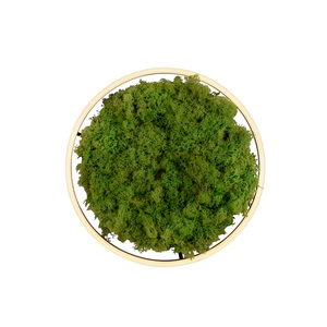 GREEN RITUS 15391-66 Taklampa, beige, 1xLED 17 GREEN RITUS 15391-66 Taklampa, beige, 1xLED small 17