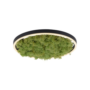 GREEN RITUS 15391-66 Taklampa, beige, 1xLED 6 GREEN RITUS 15391-66 Taklampa, beige, 1xLED small 6