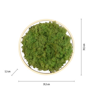 GREEN RITUS 15391-66 Taklampa, beige, 1xLED 7 GREEN RITUS 15391-66 Taklampa, beige, 1xLED small 7