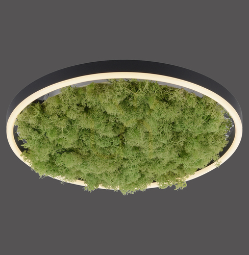 Kontrollera GREEN RITUS 15391-66 Taklampa, beige, 1xLED