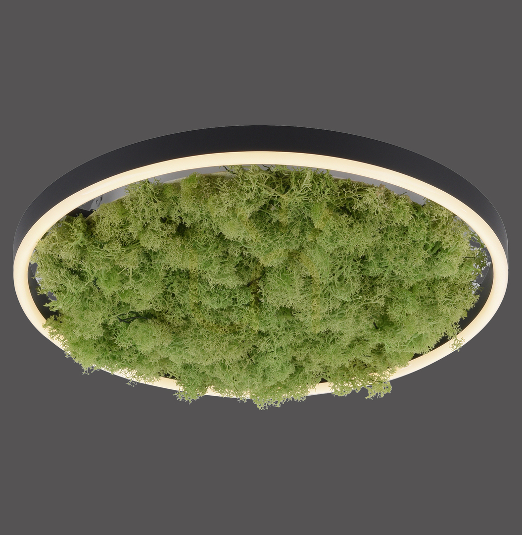 Kontrollera GREEN RITUS 15391-66 Taklampa, beige, 1xLED GREEN RITUS 15391-66 Taklampa, beige, 1xLED