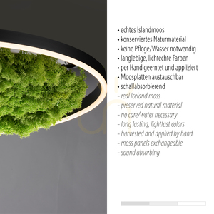 GREEN RITUS 15392-66 Beige taklampa, 1xLED small 3