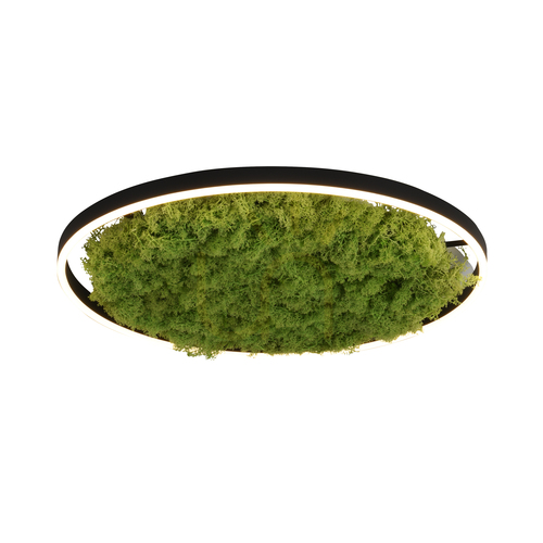 Kontrollera GREEN RITUS 15392-66 Beige taklampa, 1xLED