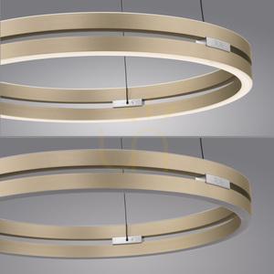 Paul Neuhaus PURE E-Loop 2550-60 pendellampa i mässing med 2 LED-lampor, med elektrisk höjdjustering small 15