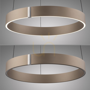 PURE E-CLIPSE 2560-97 Brunt taklampa med 2 LED-lampor 13 PURE E-CLIPSE 2560-97 Brunt taklampa med 2 LED-lampor small 13