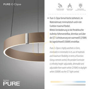 PURE E-CLIPSE 2560-97 Brunt taklampa med 2 LED-lampor 3 PURE E-CLIPSE 2560-97 Brunt taklampa med 2 LED-lampor small 3