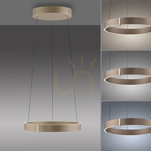 PURE E-CLIPSE 2560-97 Brunt taklampa med 2 LED-lampor 5 PURE E-CLIPSE 2560-97 Brunt taklampa med 2 LED-lampor small 5