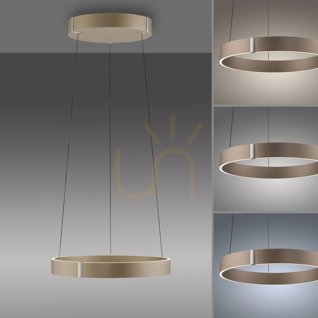 Kontrollera PURE E-CLIPSE 2560-97 Brunt taklampa med 2 LED-lampor PURE E-CLIPSE 2560-97 Brunt taklampa med 2 LED-lampor