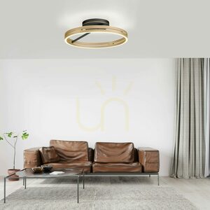PURE LOOP 6552-68 Svart taklampa, 2xLED small 21