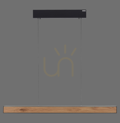 Kontrollera PURE E-MOTION 2570-79 Svart 2xLED-pendellampa