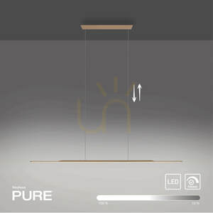 PURE SURFACE 2301-97 Brun 1xLED-pendellampa small 13