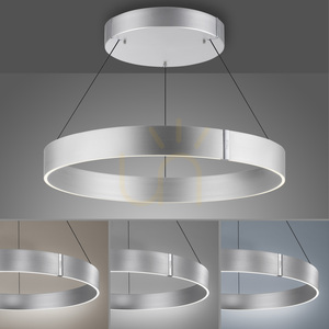 PURE E-CLIPSE 2561-95 Silver 2xLED taklampa 5 PURE E-CLIPSE 2561-95 Silver 2xLED taklampa small 5