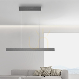 PURE E-MOTION 2570-15 Grå 2xLED-pendellampa small 11