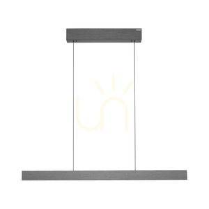 PURE E-MOTION 2570-15 Grå 2xLED-pendellampa small 17