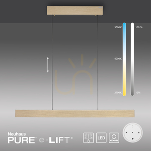 PURE E-MOTION 2570-60 Pendellampa i mässing med 2 LED-lampor small 13