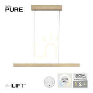 PURE E-MOTION 2570-60 Pendellampa i mässing med 2 LED-lampor small 2