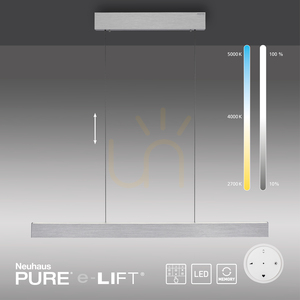 PURE E-MOTION 2570-95 Silver 2xLED taklampa small 12
