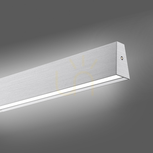 PURE E-MOTION 2570-95 Silver 2xLED taklampa small 9