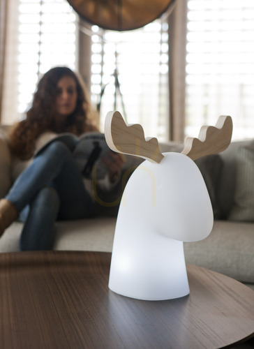 Kontrollera RUDY 35 SOLAR 3139 Trädgårdslampa, vit, 1xLED