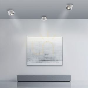 PURE MOVE 6235-16 Vit taklampa, 1xLED small 2