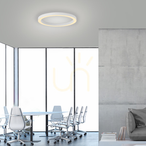PURE LINES ROUND 6309-16 Taklampa, vit, 1xLED small 3