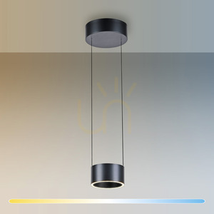 PURE CLIPSE 2471-15 Grå pendellampa med 2 LED-lampor small 2