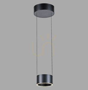 PURE CLIPSE 2471-15 Grå pendellampa med 2 LED-lampor small 0