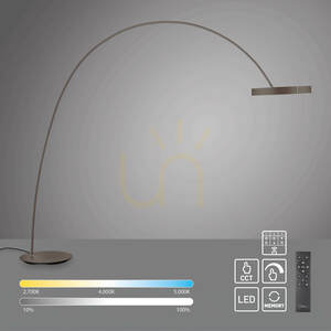 PURE CLIPSE-BOW 562-34 Golvlampa, brun, 2xLED small 1