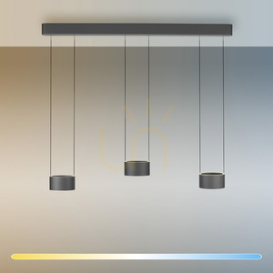PURE CLIPSE 2473-15 Grå pendellampa med 6 LED-lampor small 2