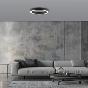 PURE LINES ROUND 6310-13 Taklampa, antracit, 1xLED small 5