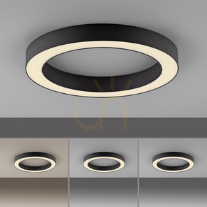PURE LINES ROUND 6310-13 Taklampa, antracit, 1xLED small 6