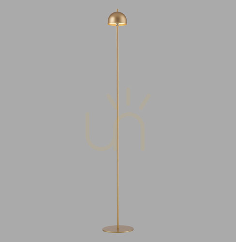 Kontrollera BELLIS 19245-12 Golvlampa, guld, 1xLED